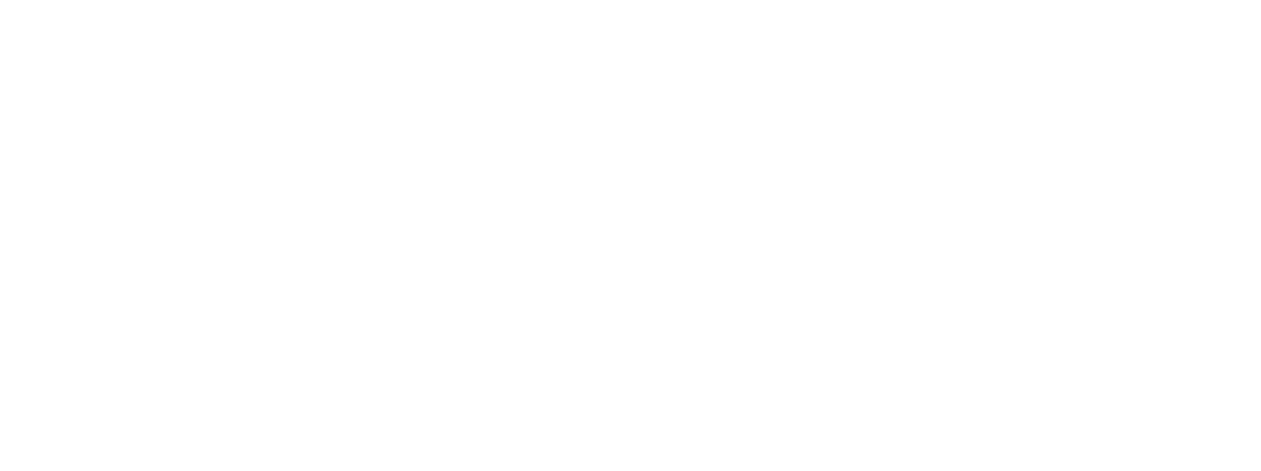 Zeno Zorg Logo Wit Rgb 2560px W 144ppi